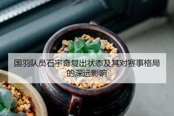 国羽队员石宇奇复出状态及其对赛事格局的深远影响